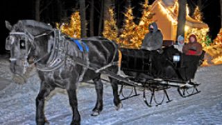 Vis-A-Vis Sleigh for Sleigh Ride Social