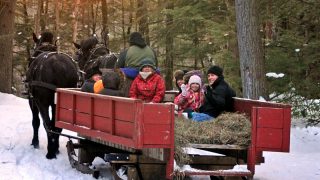 Logging Sled Ride
