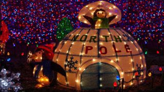 Encore of the Lights